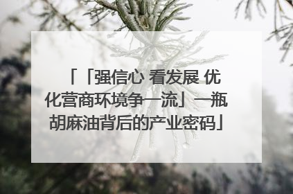 「强信心 看发展 优化营商环境争一流」一瓶胡麻油背后的产业密码